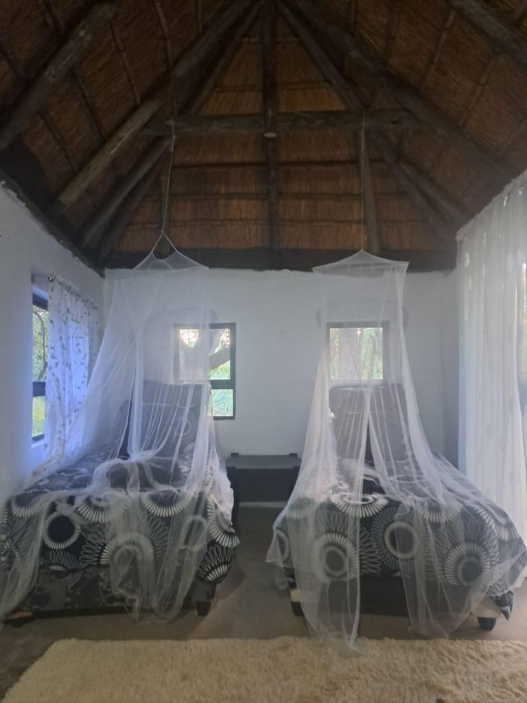 10 Bedroom Property for Sale in Phalaborwa Limpopo