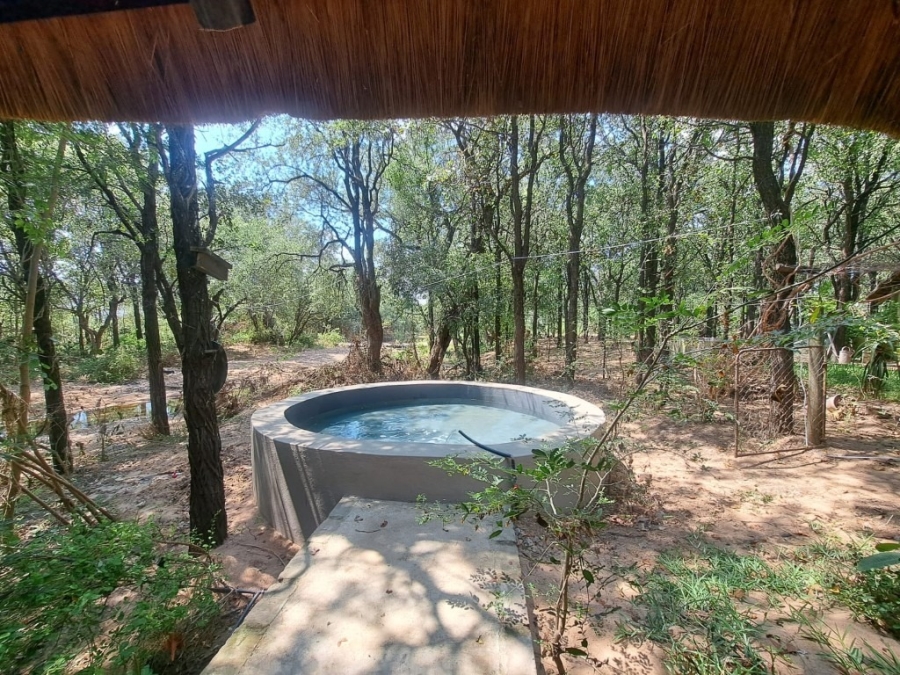 10 Bedroom Property for Sale in Phalaborwa Limpopo