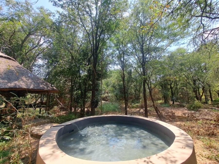 10 Bedroom Property for Sale in Phalaborwa Limpopo