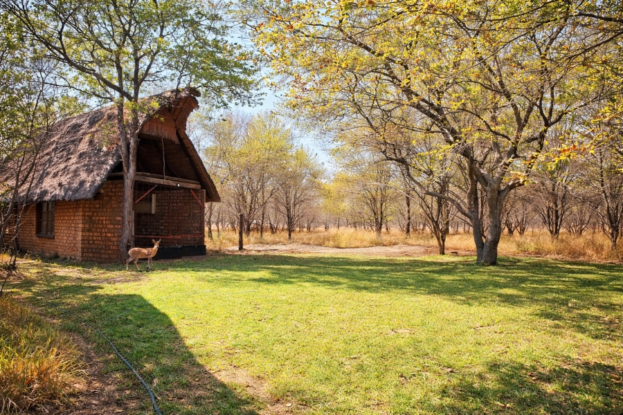 10 Bedroom Property for Sale in Phalaborwa Limpopo