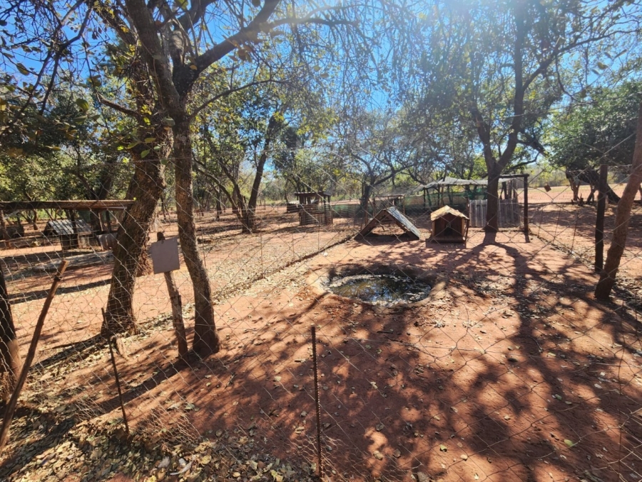 7 Bedroom Property for Sale in Bela Bela Limpopo