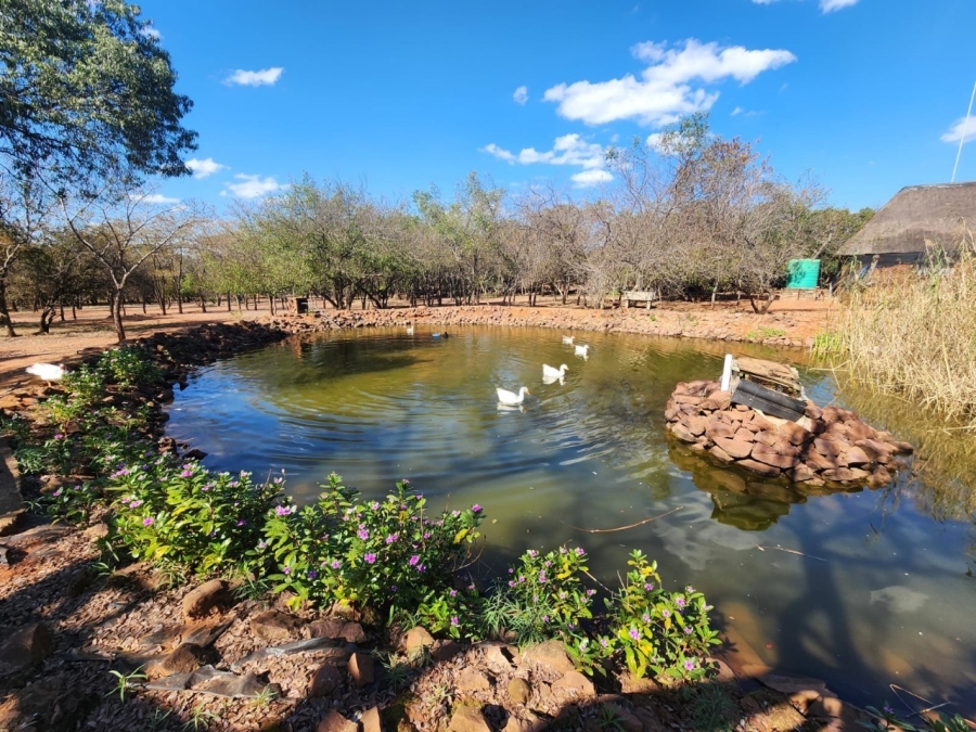 7 Bedroom Property for Sale in Bela Bela Limpopo