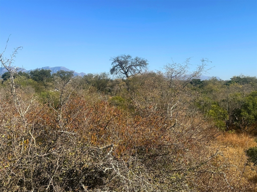 0 Bedroom Property for Sale in Moditlo Wildlife Estate Limpopo