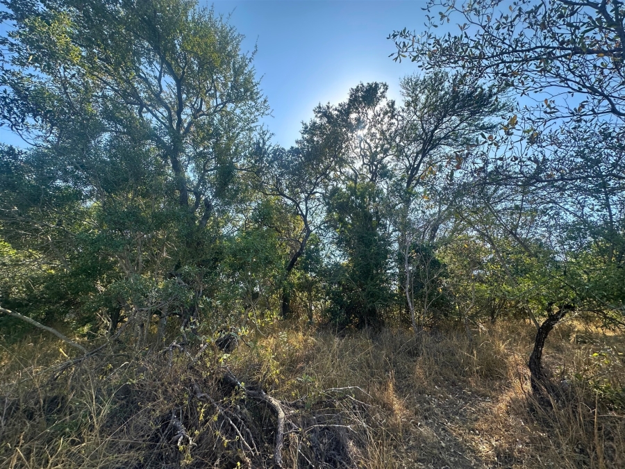 0 Bedroom Property for Sale in Moditlo Wildlife Estate Limpopo