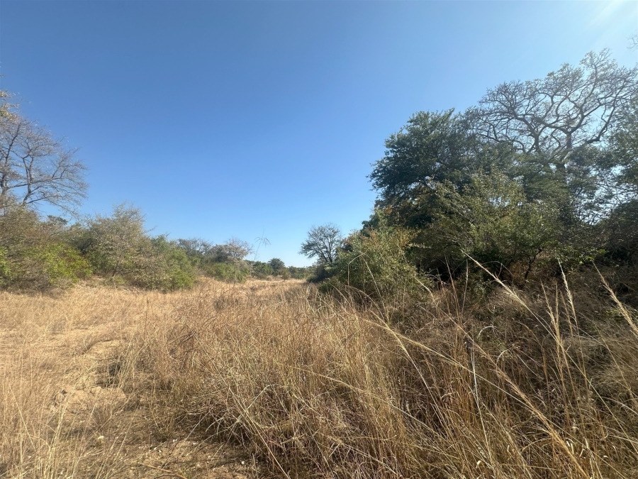 0 Bedroom Property for Sale in Moditlo Wildlife Estate Limpopo