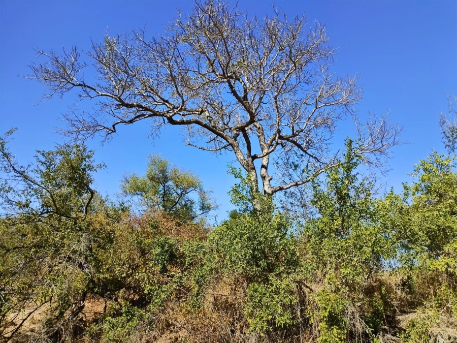 0 Bedroom Property for Sale in Moditlo Wildlife Estate Limpopo