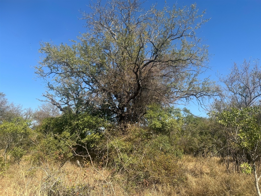 0 Bedroom Property for Sale in Moditlo Wildlife Estate Limpopo