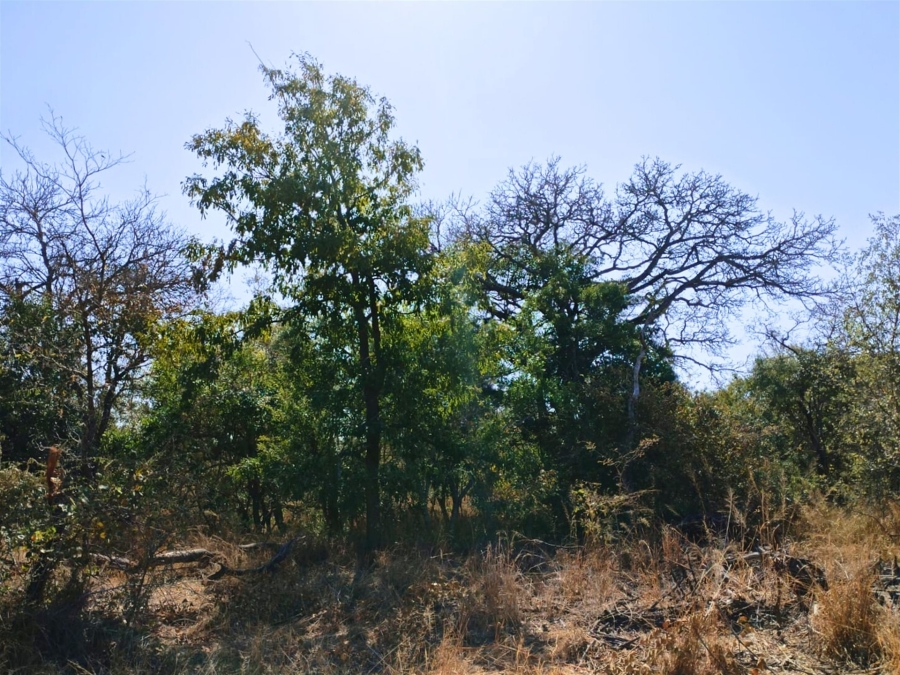 0 Bedroom Property for Sale in Moditlo Wildlife Estate Limpopo