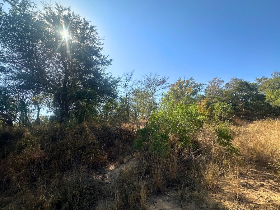 0 Bedroom Property for Sale in Moditlo Wildlife Estate Limpopo