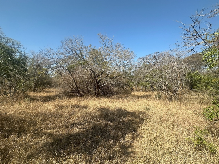 0 Bedroom Property for Sale in Moditlo Wildlife Estate Limpopo