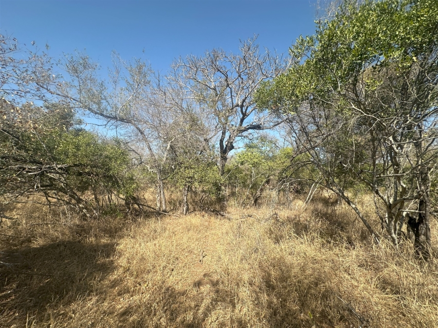0 Bedroom Property for Sale in Moditlo Wildlife Estate Limpopo