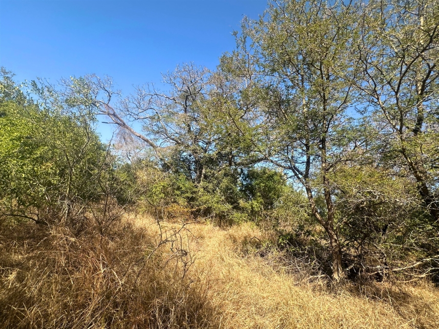 0 Bedroom Property for Sale in Moditlo Wildlife Estate Limpopo
