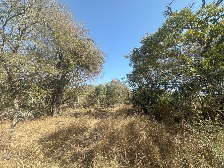 0 Bedroom Property for Sale in Moditlo Wildlife Estate Limpopo