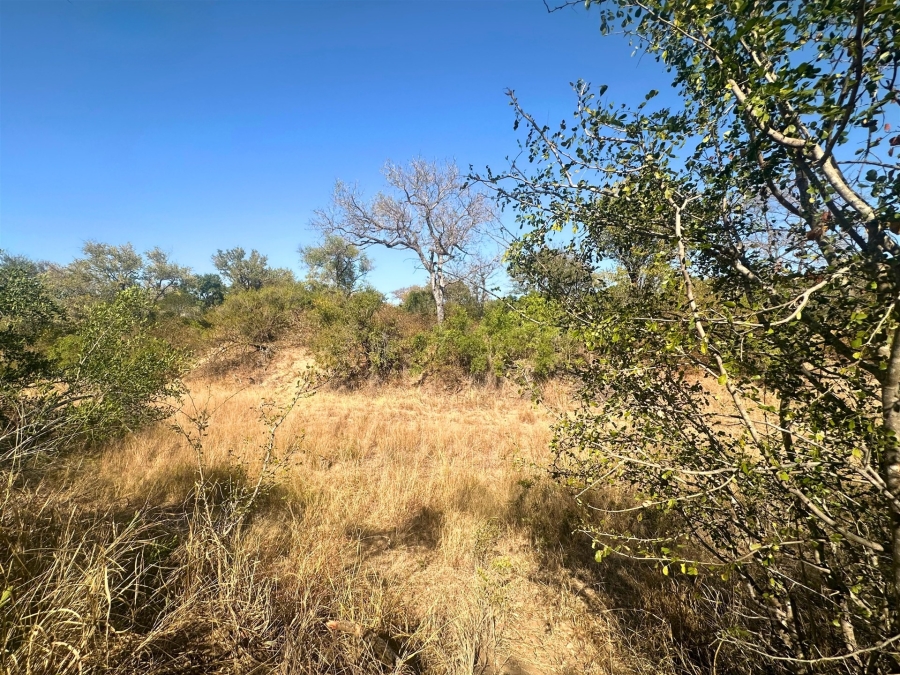 0 Bedroom Property for Sale in Moditlo Wildlife Estate Limpopo