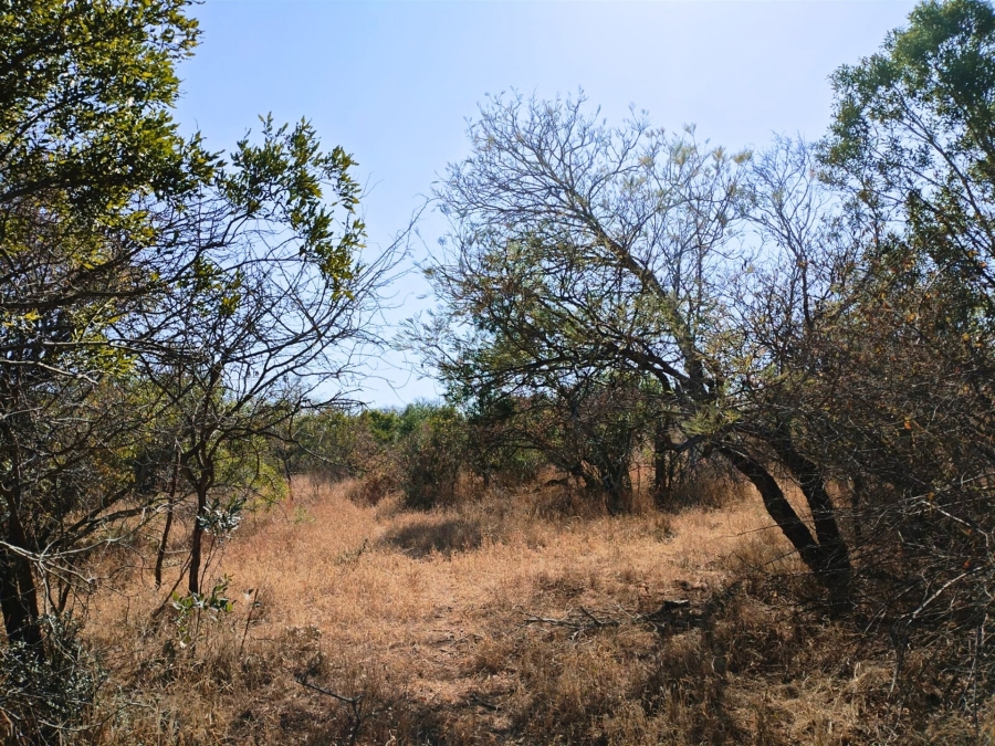 0 Bedroom Property for Sale in Moditlo Wildlife Estate Limpopo