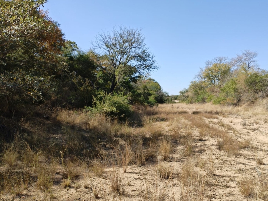 0 Bedroom Property for Sale in Moditlo Wildlife Estate Limpopo