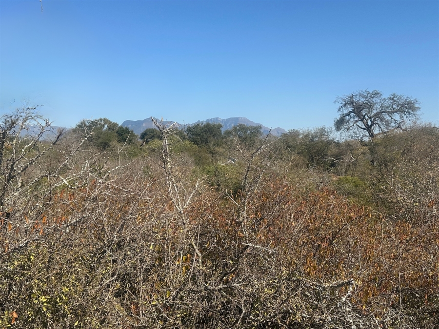 0 Bedroom Property for Sale in Moditlo Wildlife Estate Limpopo