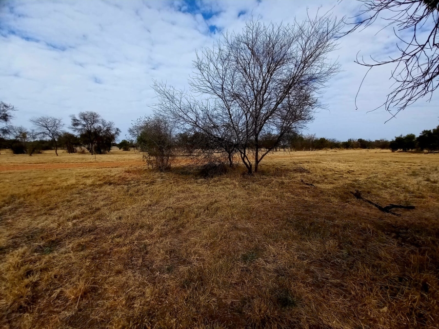 0 Bedroom Property for Sale in Bela Bela Limpopo
