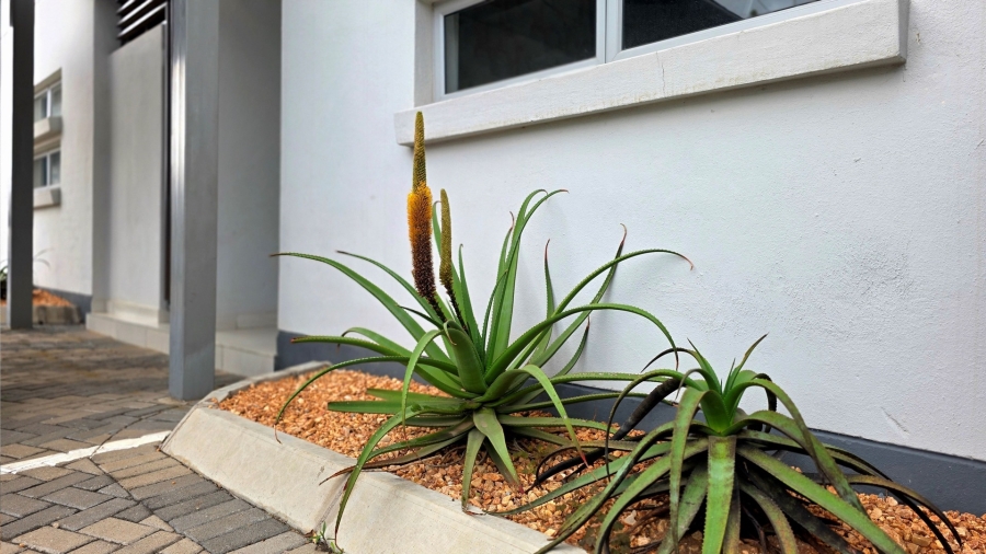 To Let 3 Bedroom Property for Rent in Bendor Limpopo