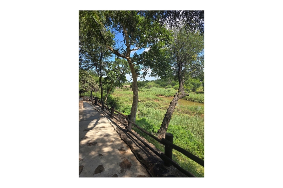 0 Bedroom Property for Sale in Mopane Limpopo