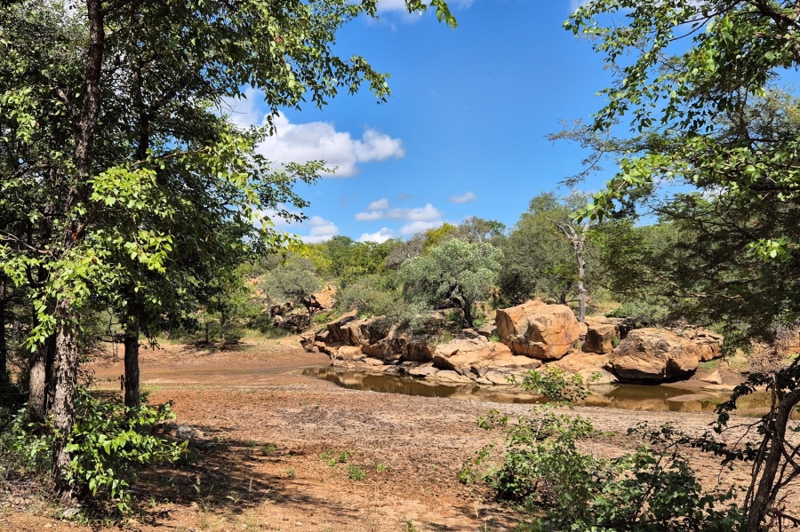 0 Bedroom Property for Sale in Mopane Limpopo