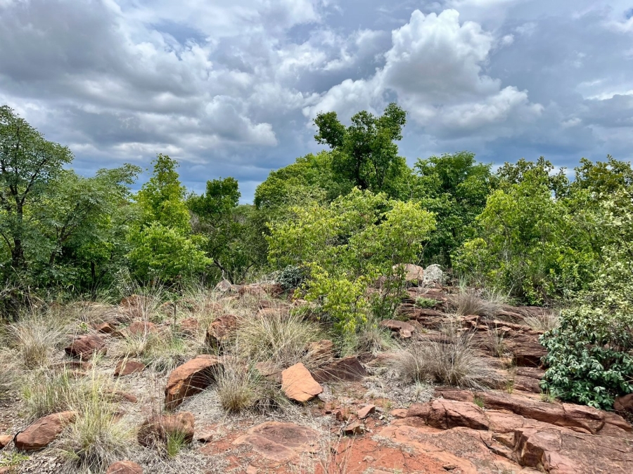 0 Bedroom Property for Sale in Verloren Estate Limpopo