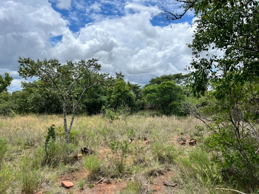 0 Bedroom Property for Sale in Verloren Estate Limpopo