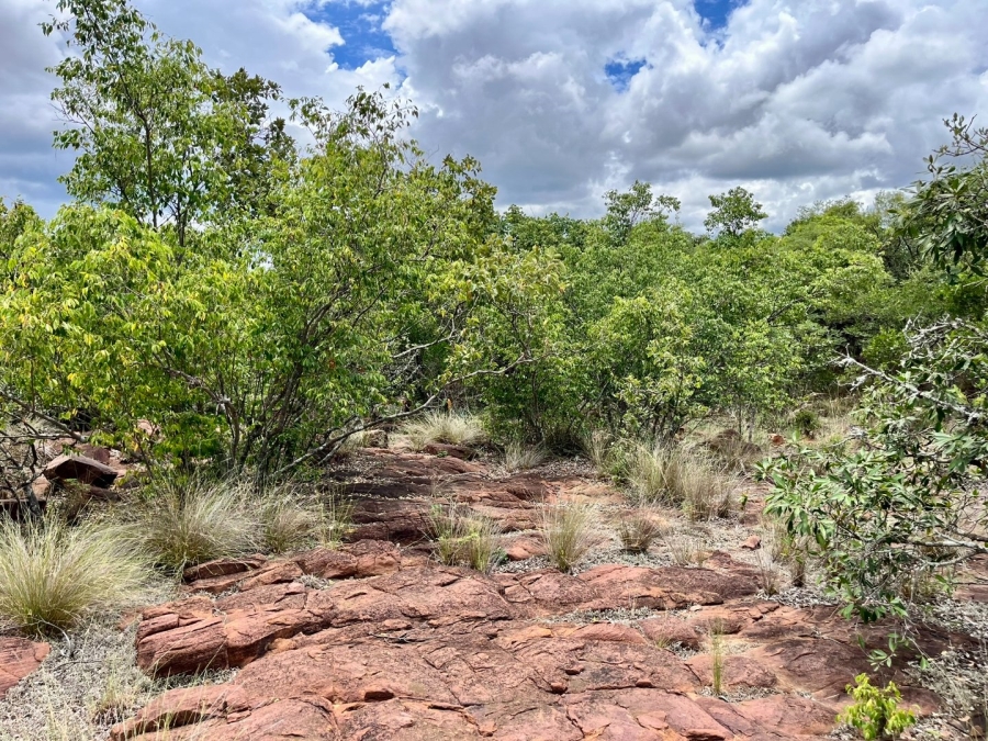 0 Bedroom Property for Sale in Verloren Estate Limpopo