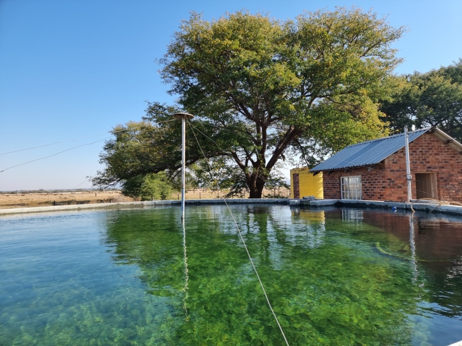 9 Bedroom Property for Sale in Bela Bela Limpopo