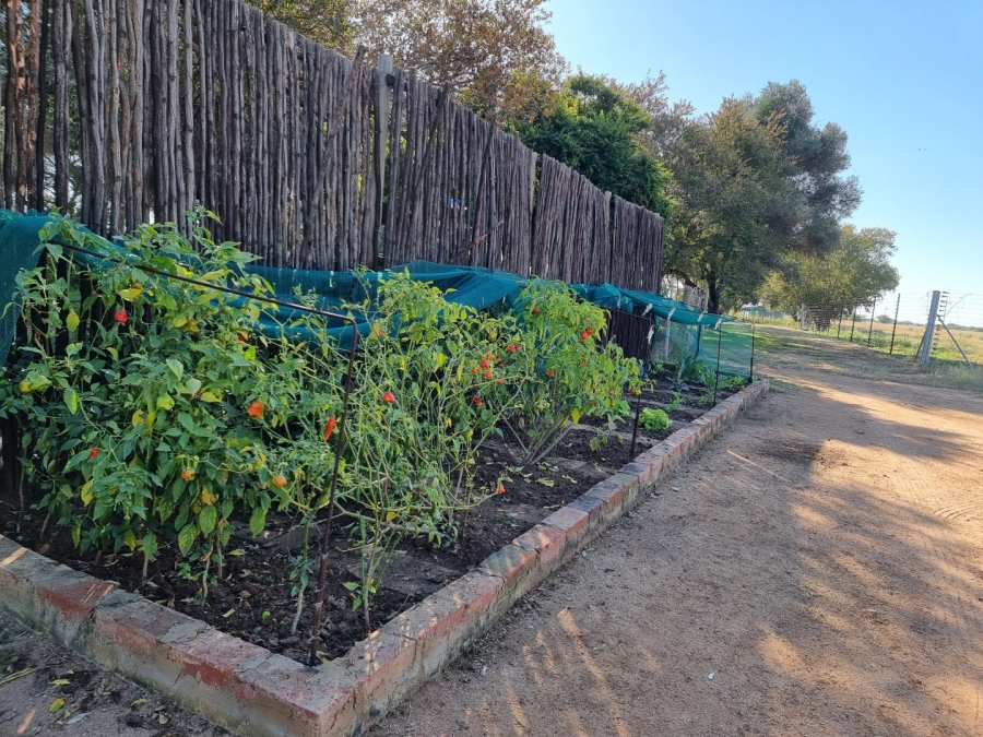 9 Bedroom Property for Sale in Bela Bela Limpopo
