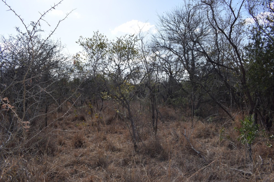 0 Bedroom Property for Sale in Moditlo Wildlife Estate Limpopo