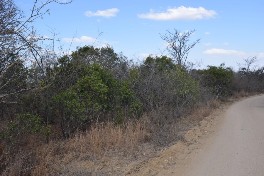 0 Bedroom Property for Sale in Moditlo Wildlife Estate Limpopo
