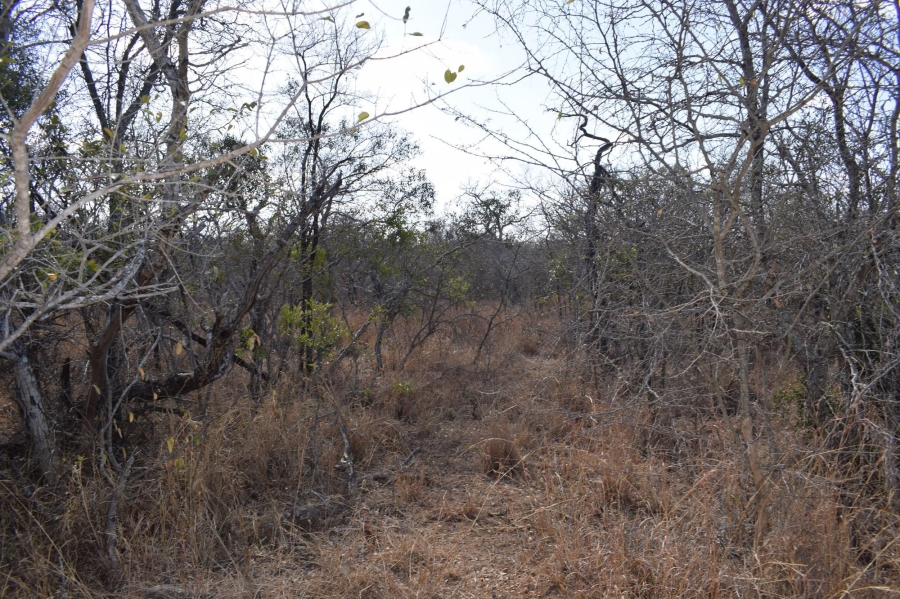 0 Bedroom Property for Sale in Moditlo Wildlife Estate Limpopo