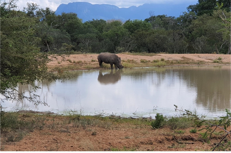 0 Bedroom Property for Sale in Moditlo Wildlife Estate Limpopo