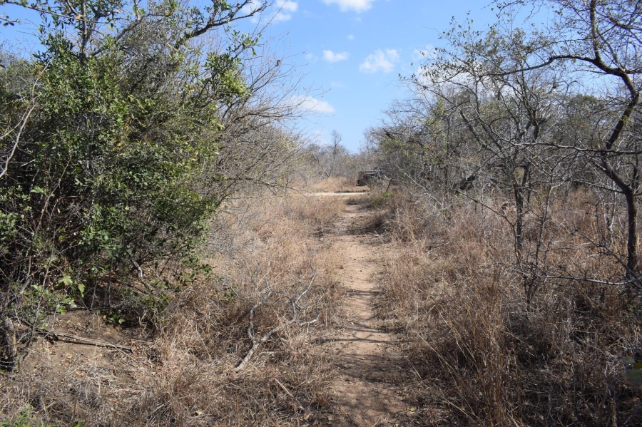 0 Bedroom Property for Sale in Moditlo Wildlife Estate Limpopo