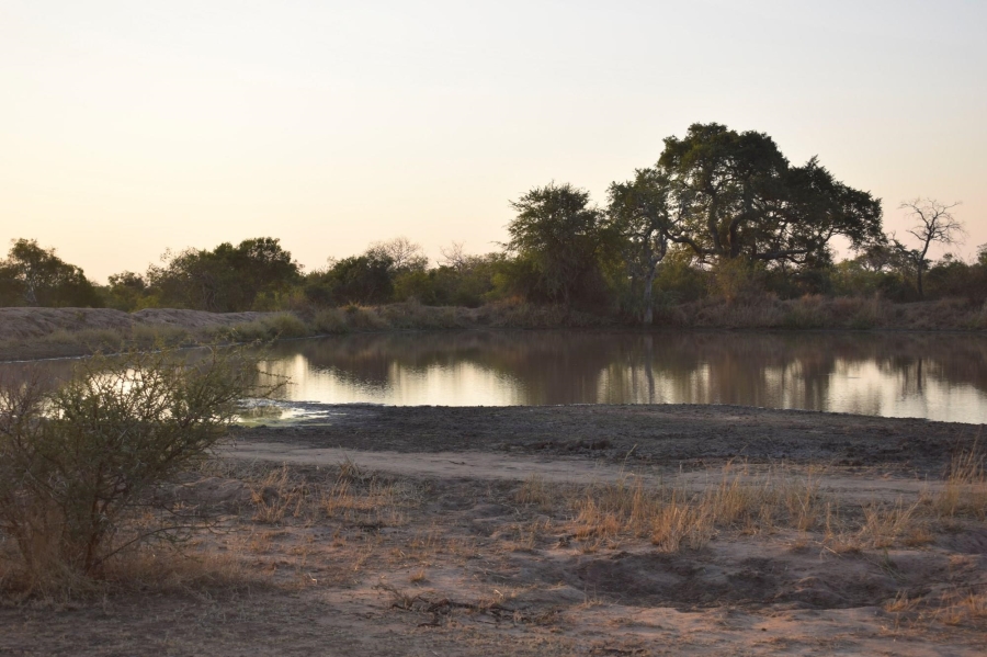 0 Bedroom Property for Sale in Moditlo Wildlife Estate Limpopo