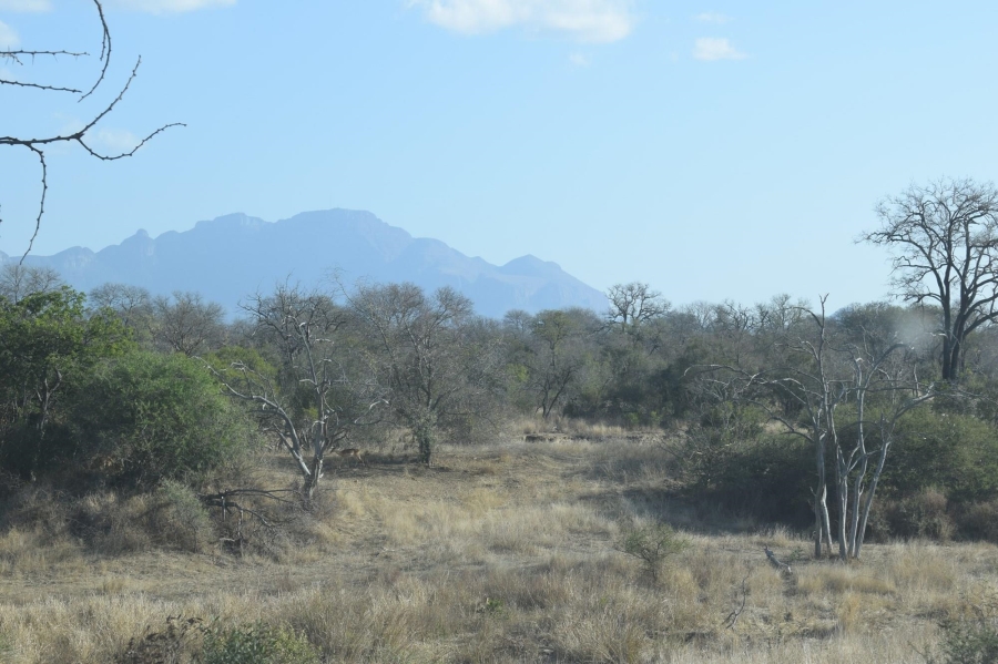 0 Bedroom Property for Sale in Moditlo Wildlife Estate Limpopo