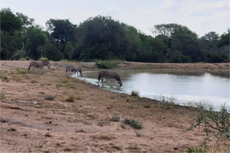 0 Bedroom Property for Sale in Moditlo Wildlife Estate Limpopo