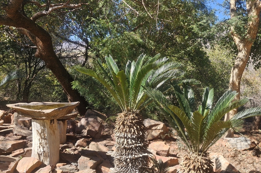 0 Bedroom Property for Sale in Thabazimbi Limpopo