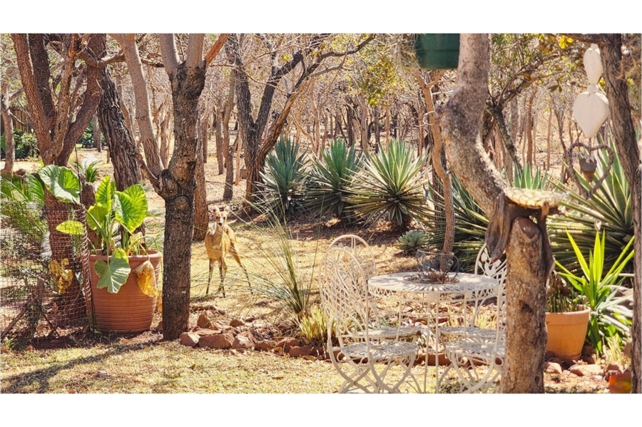 3 Bedroom Property for Sale in Koro Creek Golf Estate Limpopo