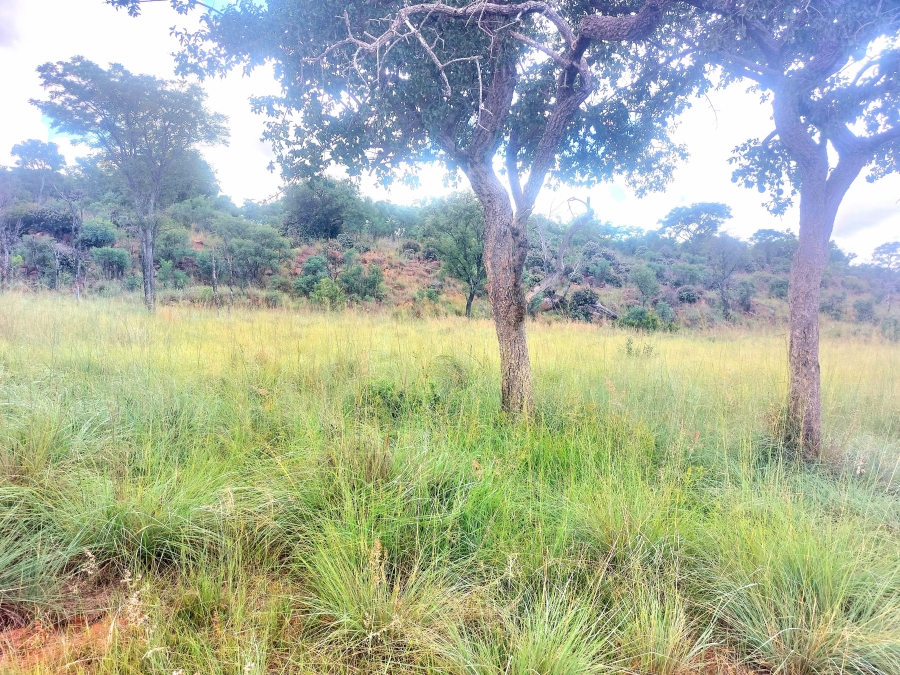 4 Bedroom Property for Sale in Modimolle Limpopo