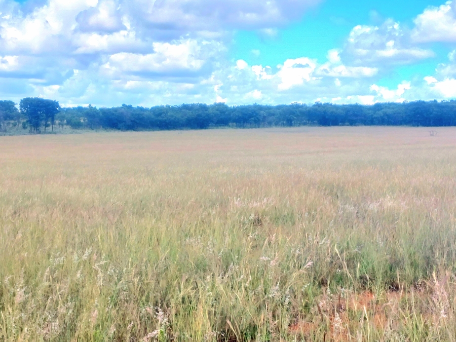 4 Bedroom Property for Sale in Modimolle Limpopo
