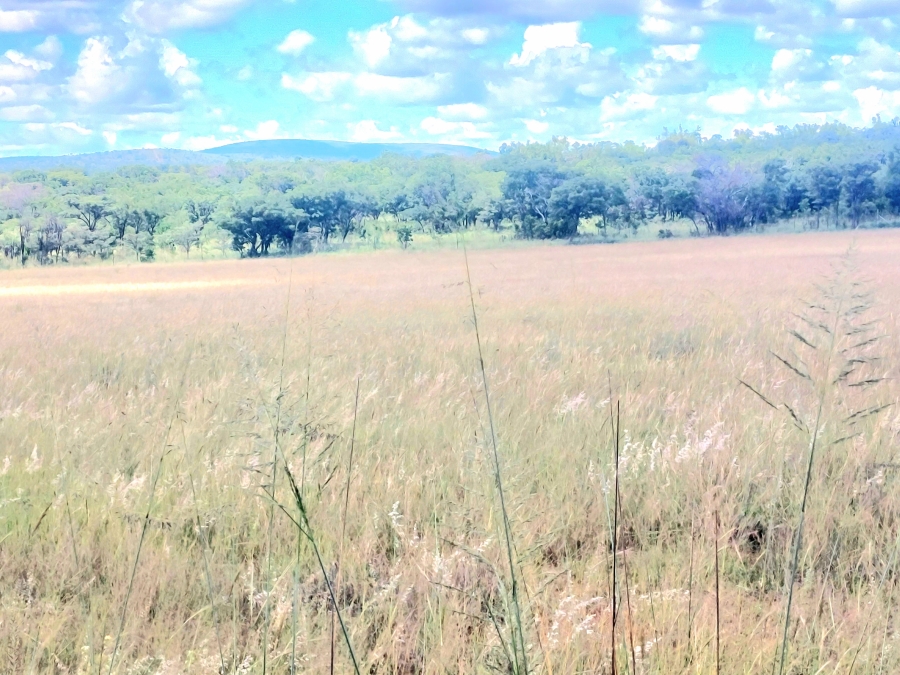 4 Bedroom Property for Sale in Modimolle Limpopo