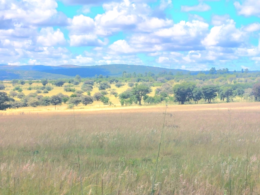 4 Bedroom Property for Sale in Modimolle Limpopo