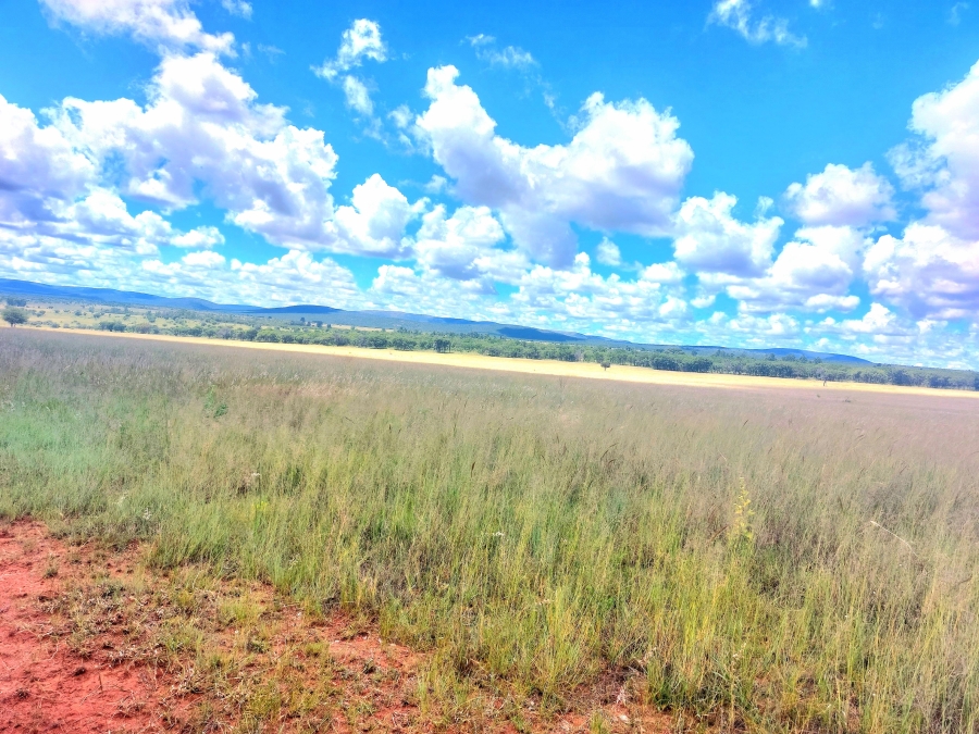 4 Bedroom Property for Sale in Modimolle Limpopo