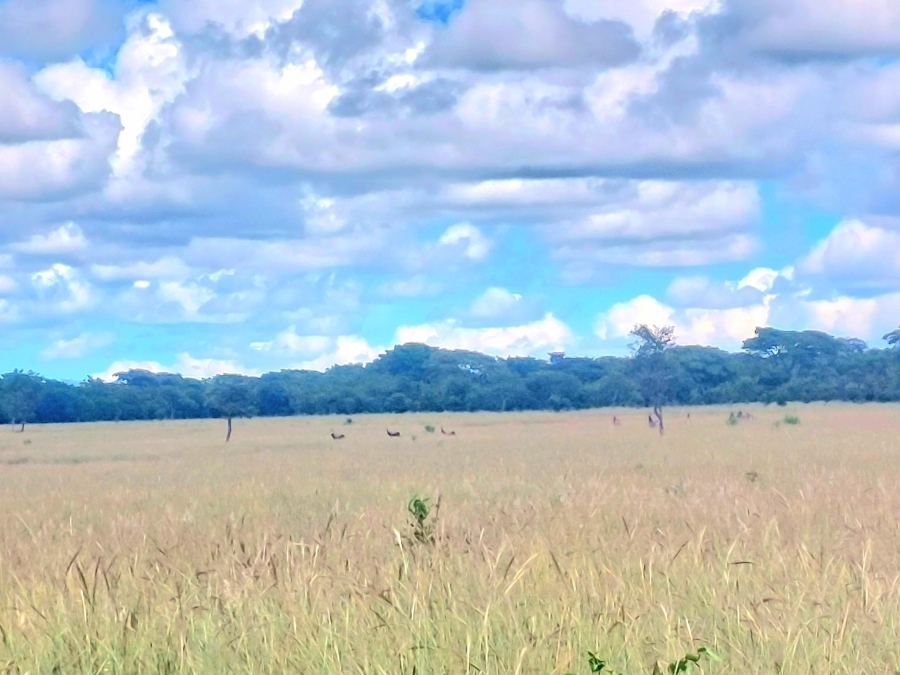 4 Bedroom Property for Sale in Modimolle Limpopo