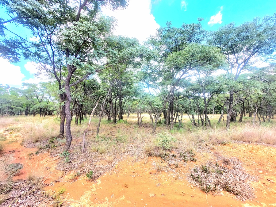 4 Bedroom Property for Sale in Modimolle Limpopo