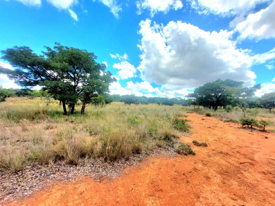 4 Bedroom Property for Sale in Modimolle Limpopo