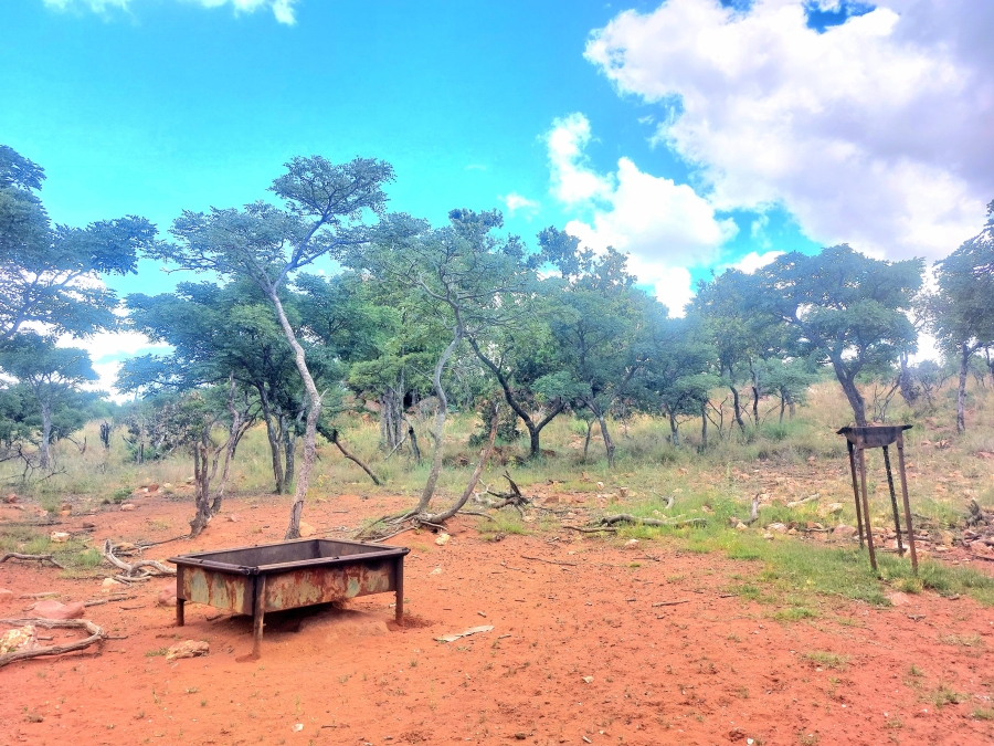 4 Bedroom Property for Sale in Modimolle Limpopo