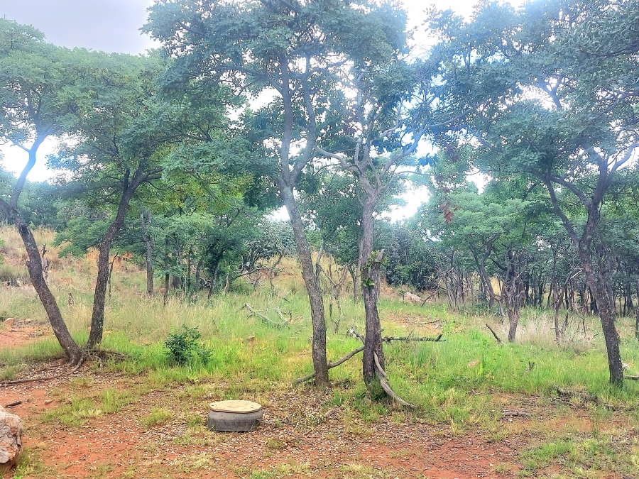 4 Bedroom Property for Sale in Modimolle Limpopo